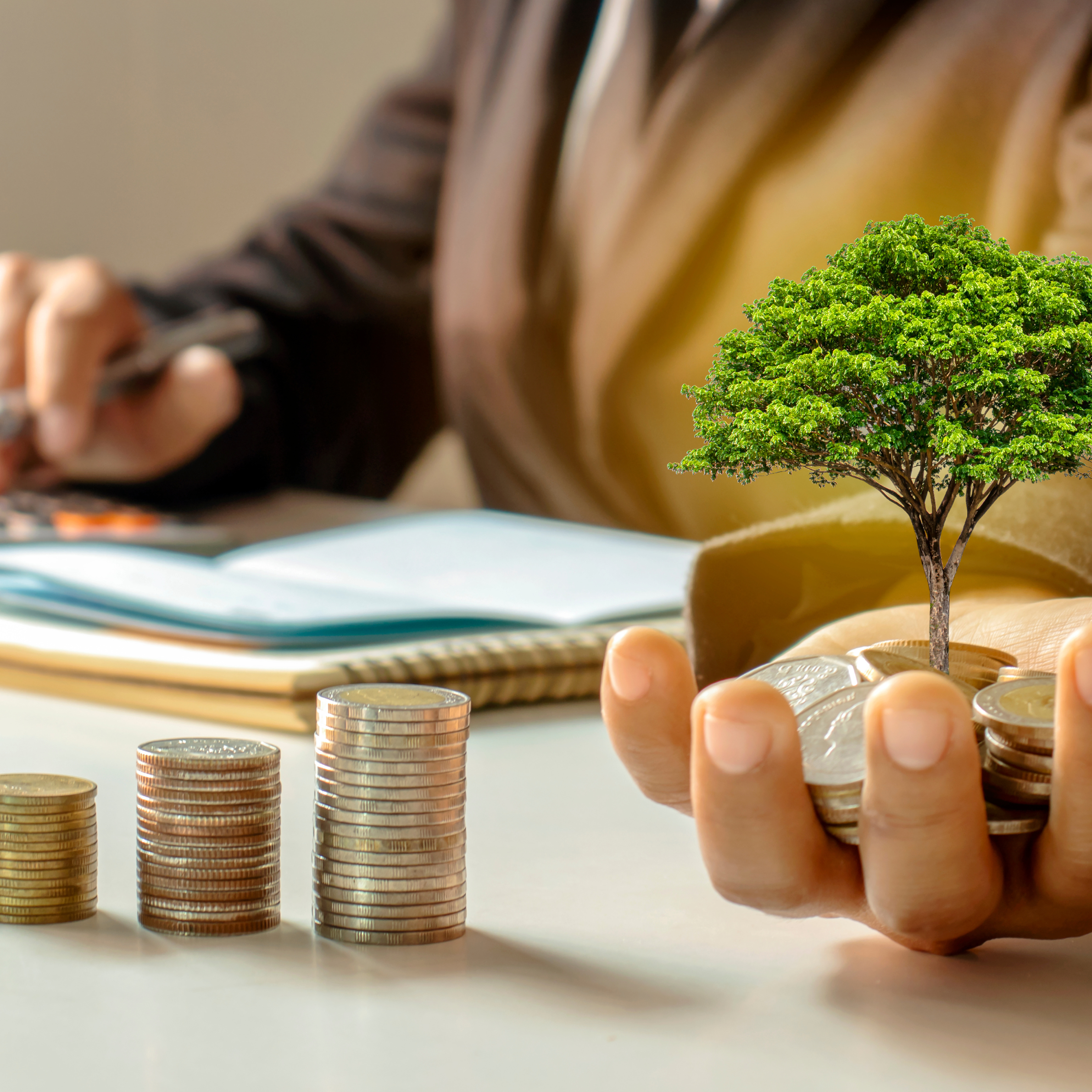 Investment Services